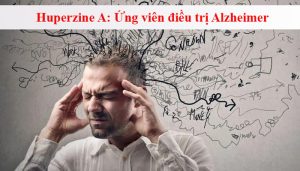 Tại Sao Huperzine A Được Nghiên Cứu Trong Điều Trị Alzheimer và Sa Sút Trí Tuệ?