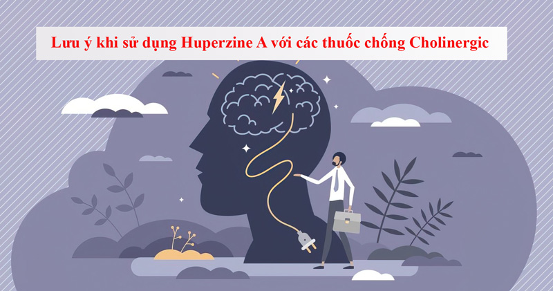 Lưu ý khi sử dụng Huperzine A với các thuốc chống Cholinergic hoặc trị Alzheimer khác