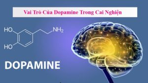 Vai Trò Của Dopamine Trong Cai Nghiện Và Cách Heantos-4 Tác Động